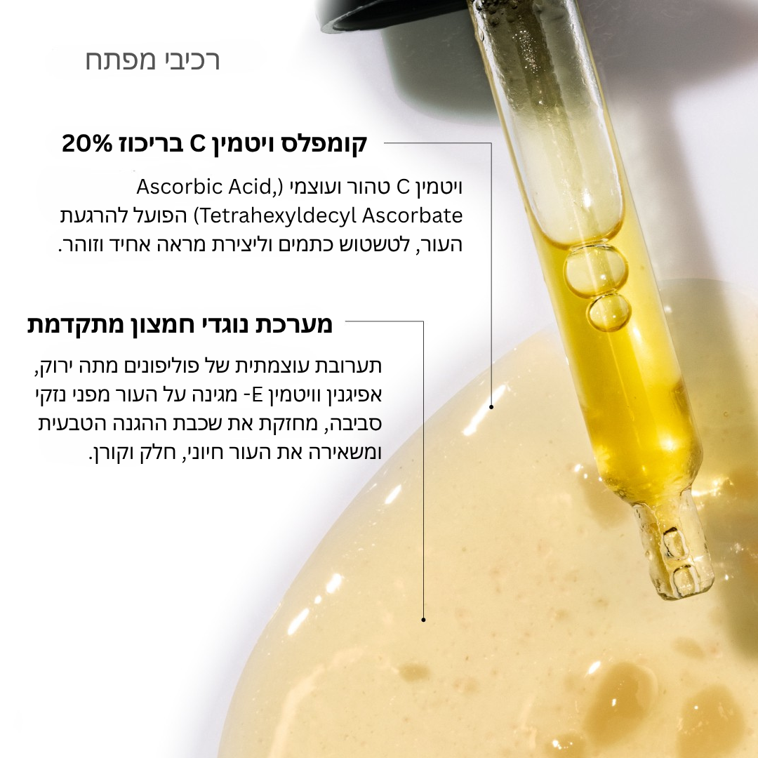 אינפוגרפיקת רכיבים